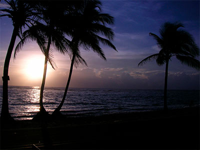 FDotografia Freelance